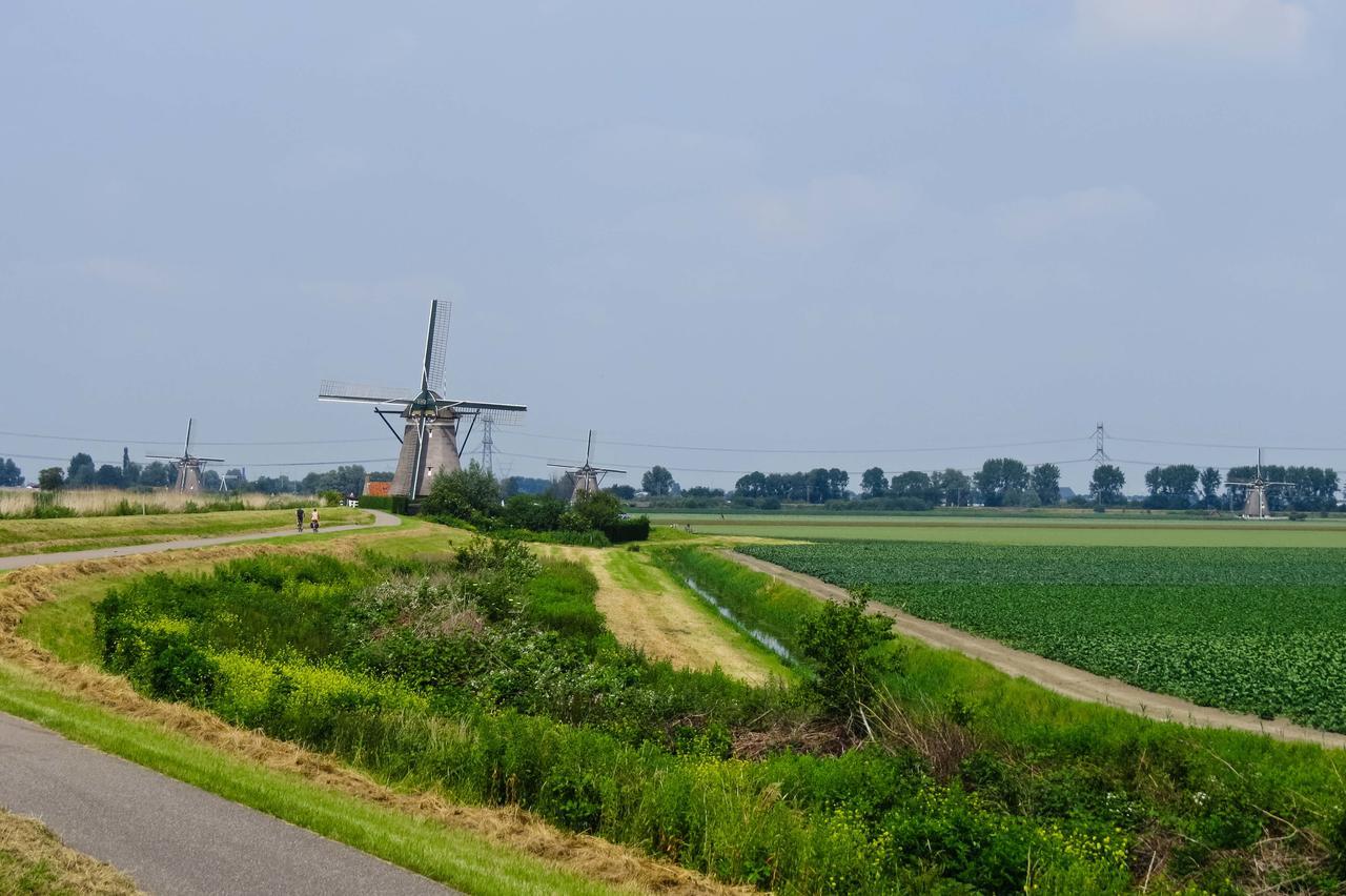 De Strandgaper Zevenhuizen  ภายนอก รูปภาพ
