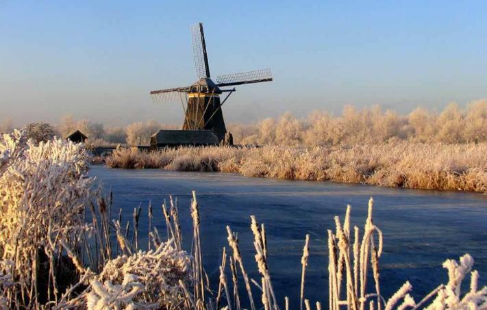 De Strandgaper Zevenhuizen  ภายนอก รูปภาพ